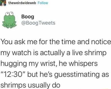 8 theweirdwideweb Follow Boog BoogTweets You ask me for the time and notice my watch is actually a live shrimp hugging my wrist he whispers 1230 but hes guesstimating as shrimps usually do