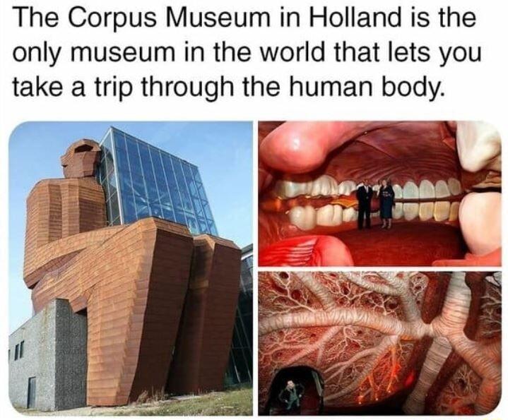 The Corpus Museum in Holland is the only museum in the world that lets you take a trip through the human body