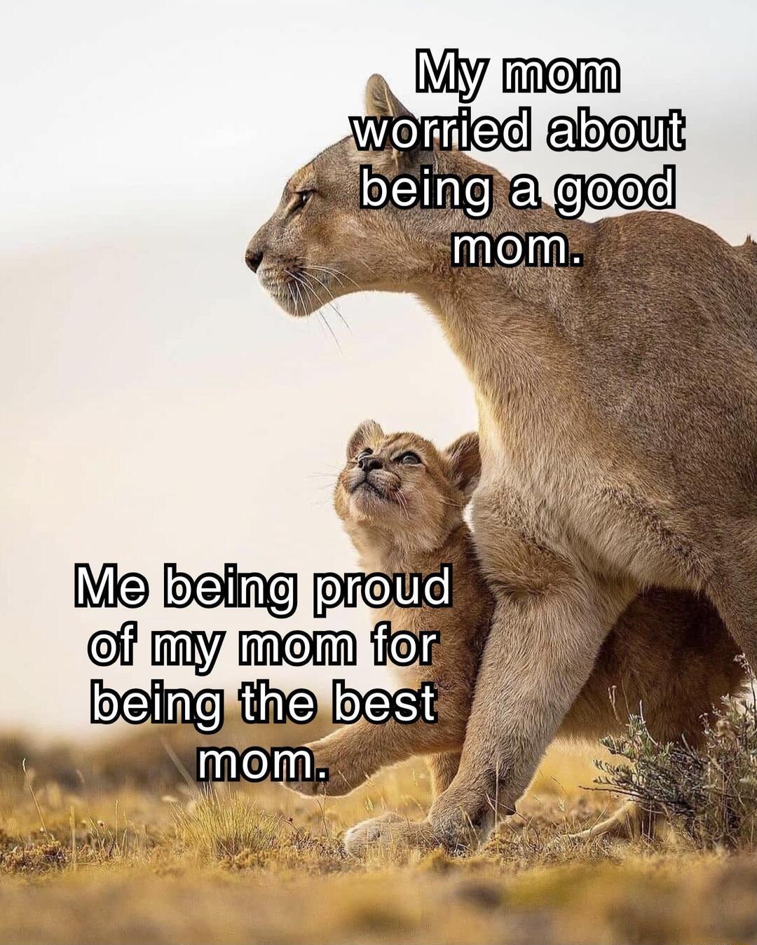 My mom bor rled oNinlehe gd