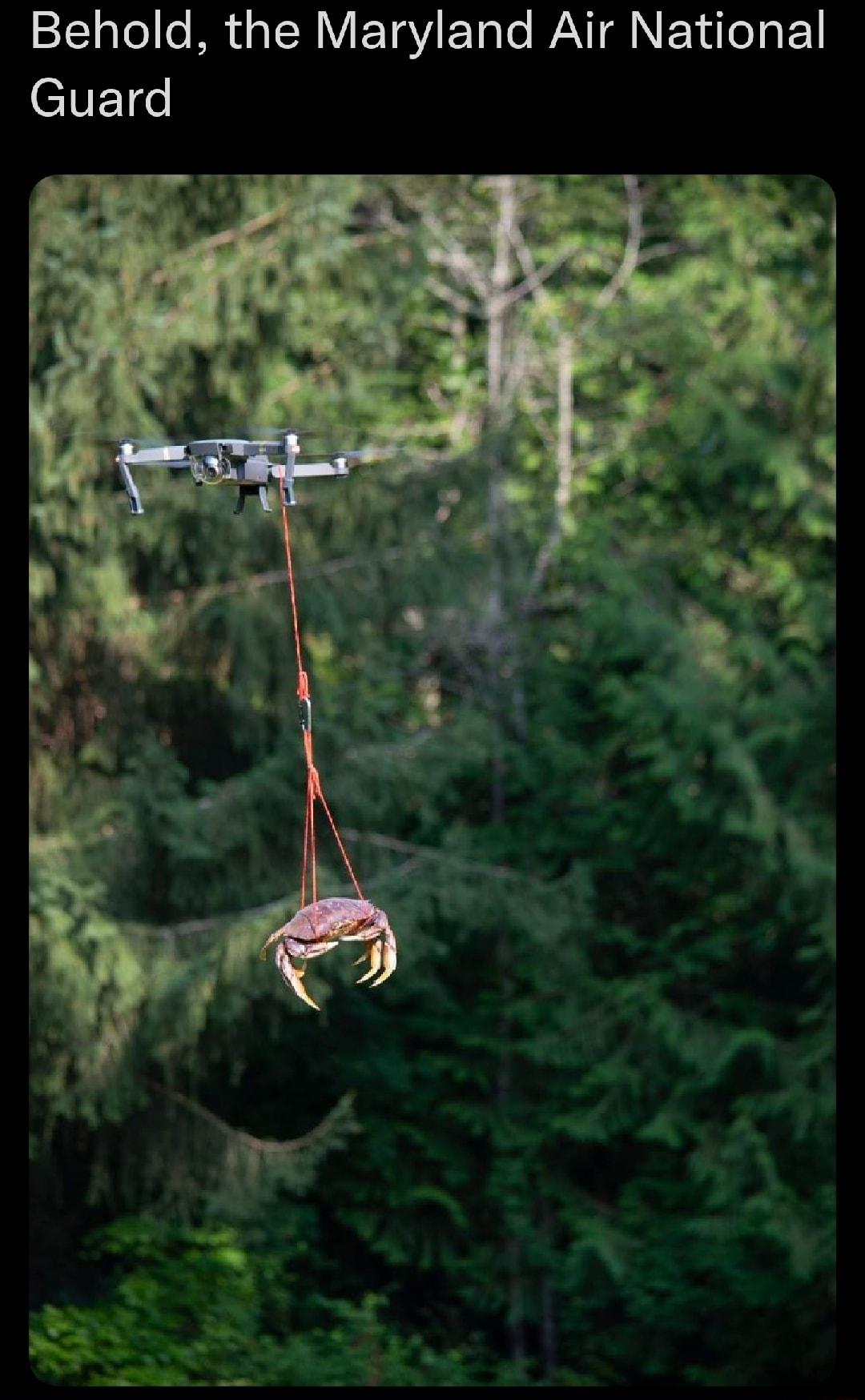 Behold the Maryland Air National CIVETE