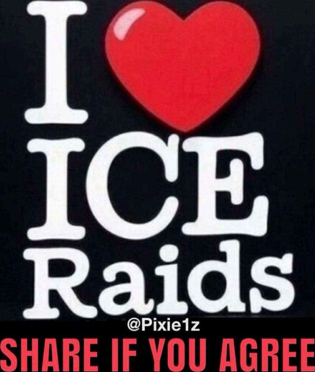 I ❤️ ICE Raids @Pixie1z SHARE IF YOU AGREE