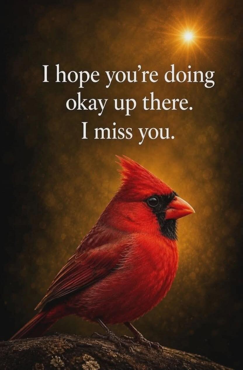 I hope you're doing okay up there. I miss you.