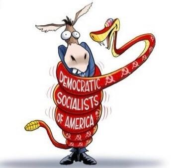 DEMOCRATIC SOCIALISTS OF AMERICA