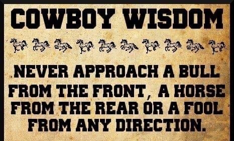 COWBOY WISDOM B 55T 550 NEVER APPROACH A BULL FROM THE FRONT A HORSE FROM THE REAR OR A FOOL FROM ANY DIRECTION DESION BY WWWMATTHEWPIZZOLATOCON