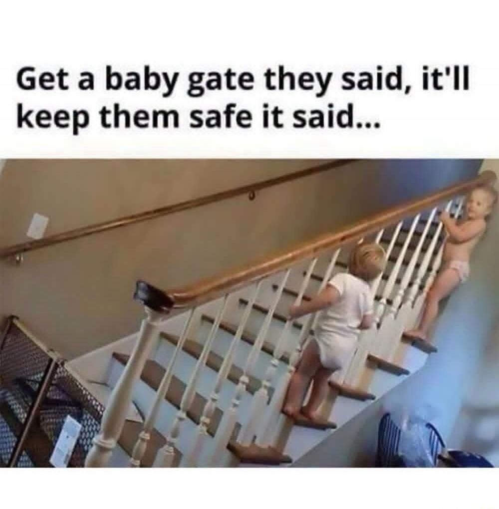 Get a baby gate they said, it'll keep them safe it said...