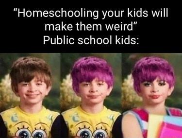 Homeschooling your kids will MELCRGTET RN IG Public school kids