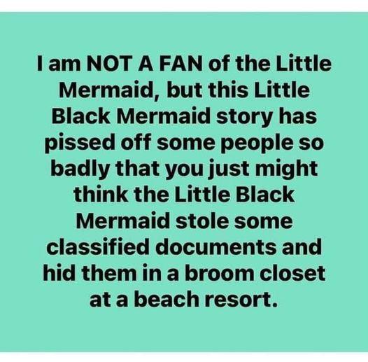 1am NOT A FAN of the Little Mermaid but this Little Black Mermaid story has pissed off some people so badly that you just might think the Little Black Mermaid stole some classified documents and hid them in a broom closet atabeachresort