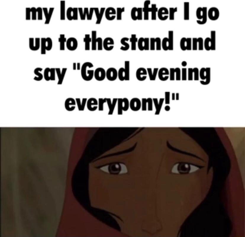 my lawyer after 1 go up to the stand and say Good evening everypony