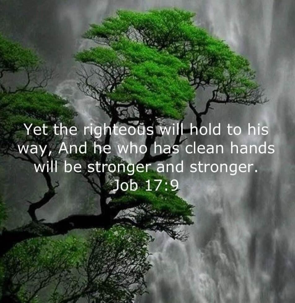Yet the righteous will hold to his way, And he who has clean hands will be stronger and stronger. Job 17:9