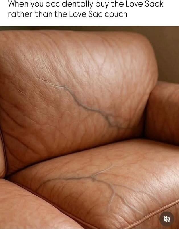 When you accidentally buy the Love Sack rather than the Love Sac couch