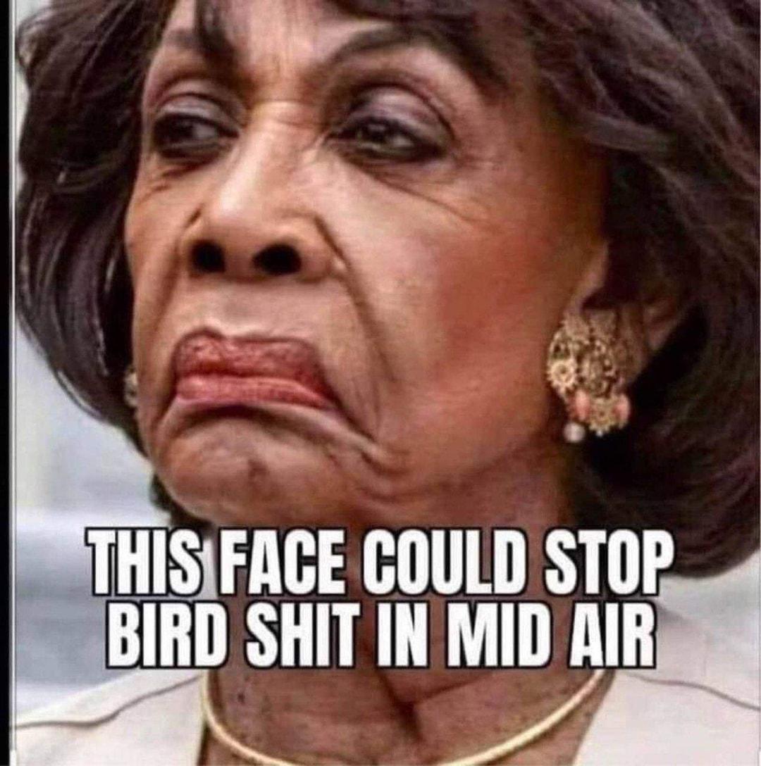 THISFAGE GOULDSTOR BIRD SHIT IN MIDAIR