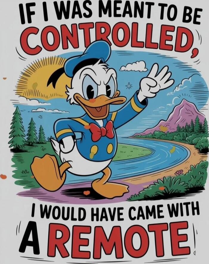 IF I WAS MEANT TO BE CONTROLLED, I WOULD HAVE CAME WITH A REMOTE