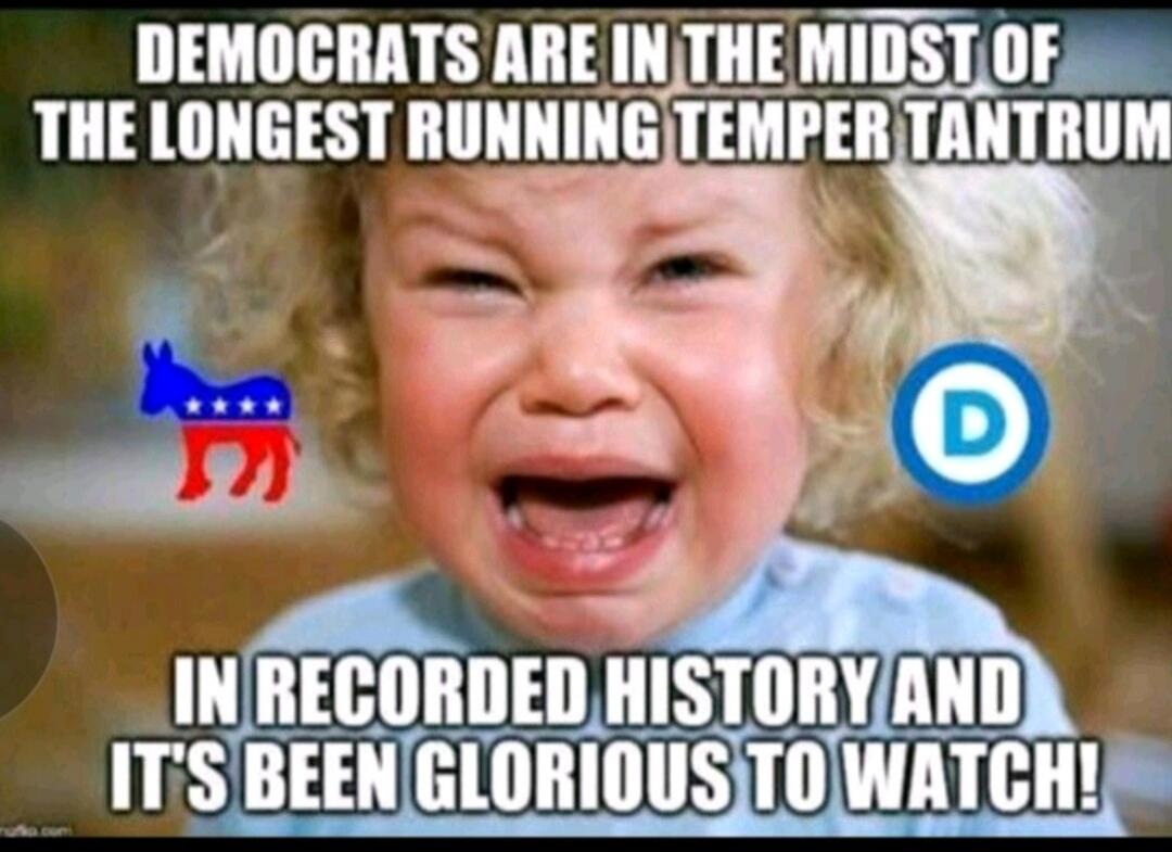 DEMOCRATS ARE IN THE MIDST OF THE LONGEST RUNNING TEMPER TANTRUM IN RECORDED HISTORY AND IT'S BEEN GLORIOUS TO WATCH!