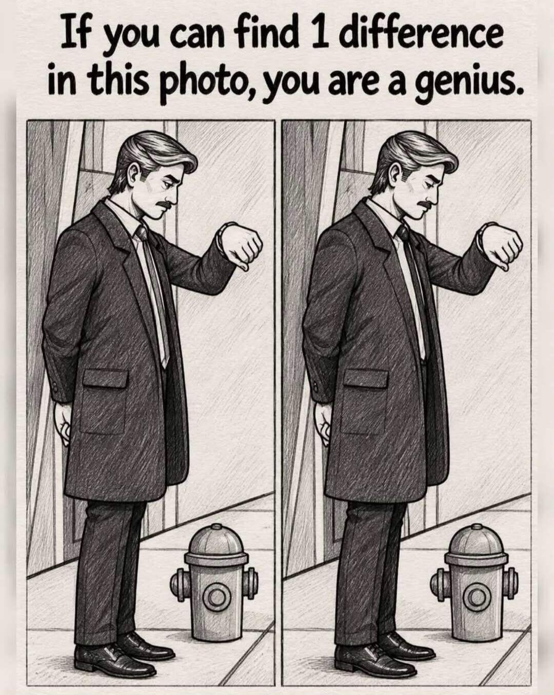 If you can find 1 difference in this photo, you are a genius.