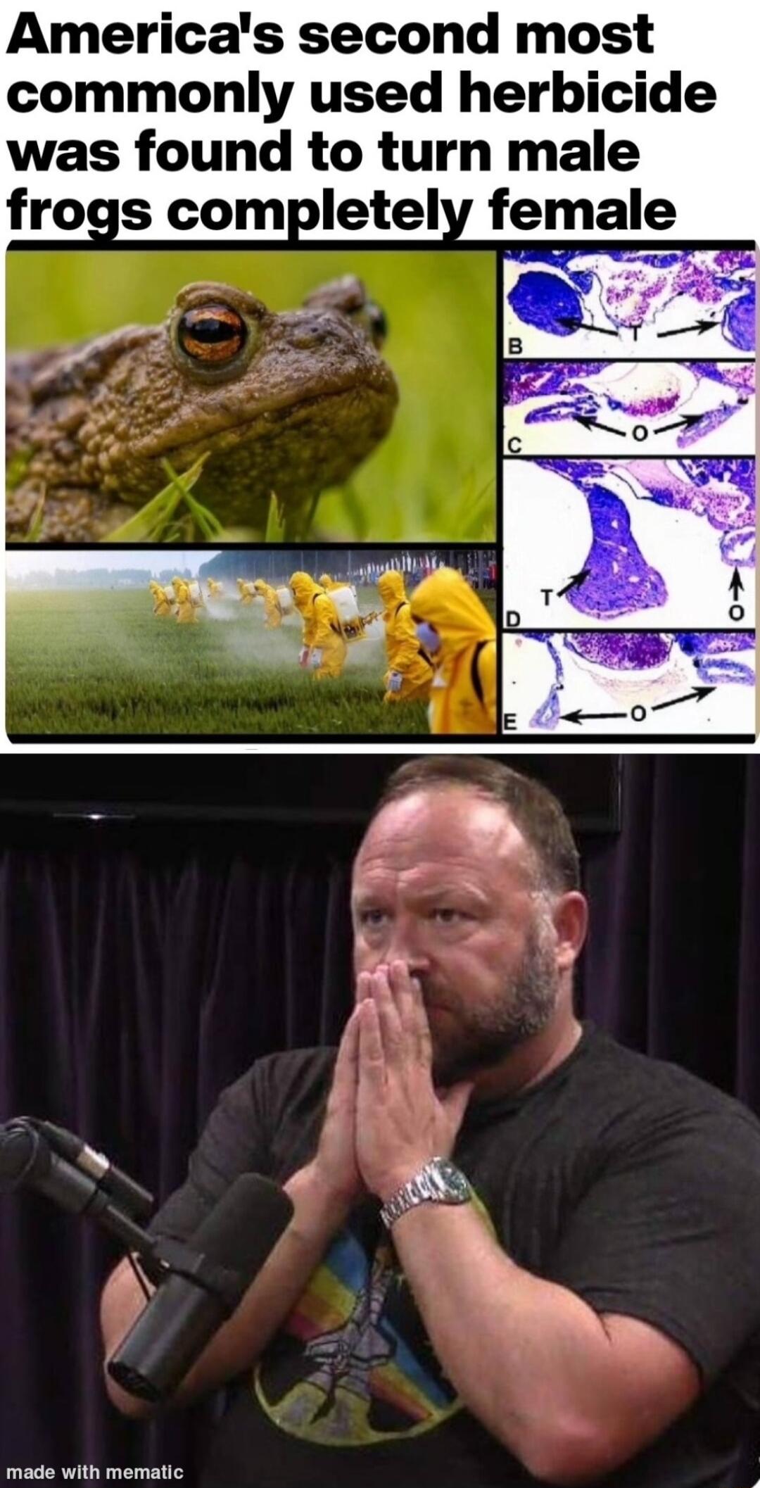 Americas second most commonly used herbicide was found to turn male frogs completely female made with mematic