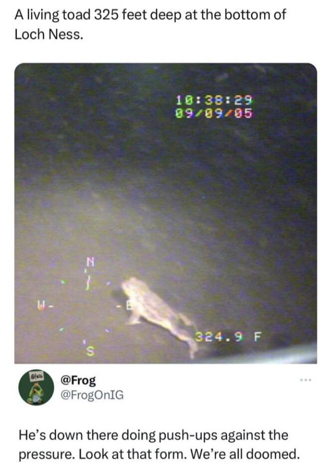 A living toad 325 feet deep at the bottom of Loch Ness FrogOnIG Hes down there doing push ups against the pressure Look at that form Were all doomed