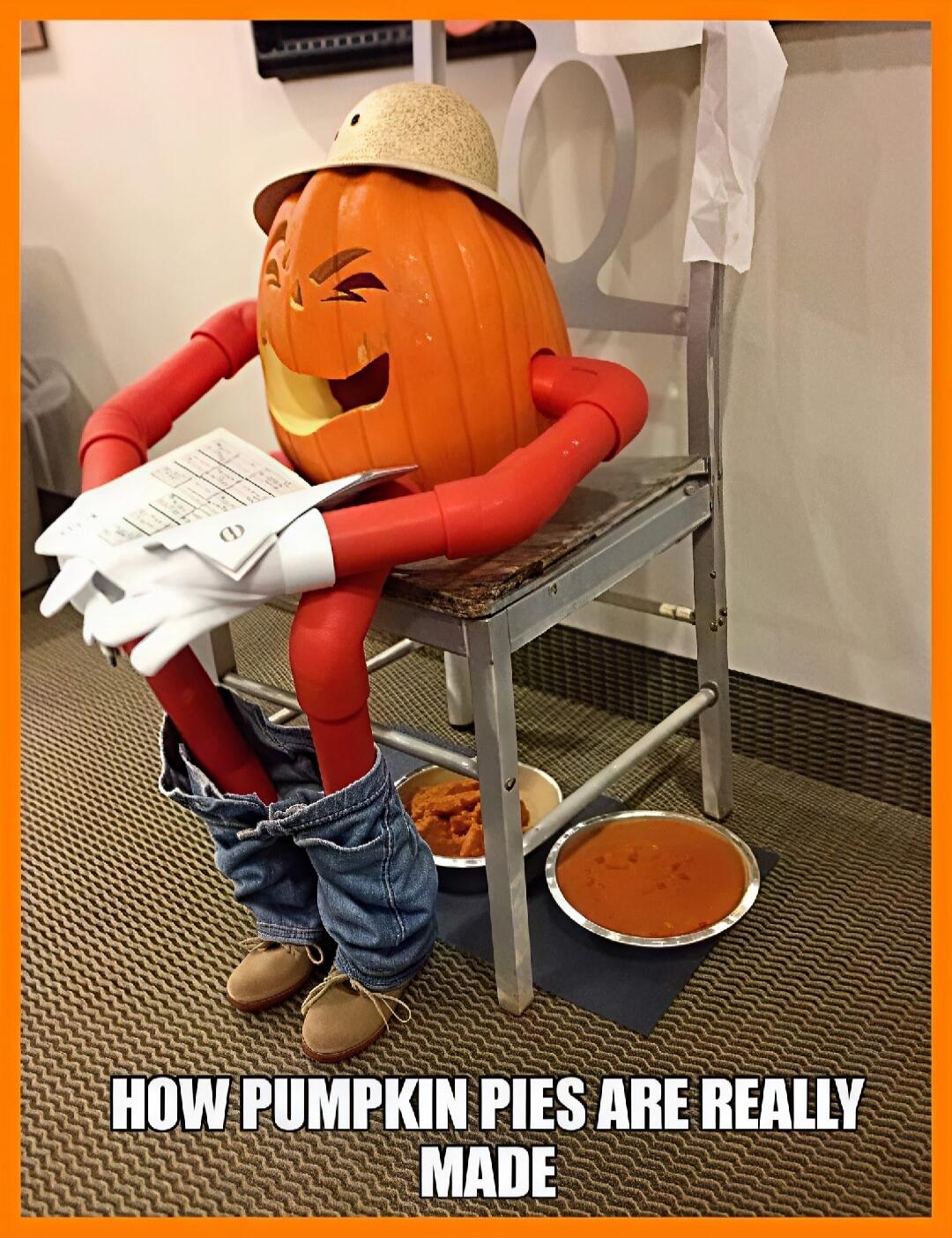 HOW PUMPKIN PIES ARE REALLY MADE