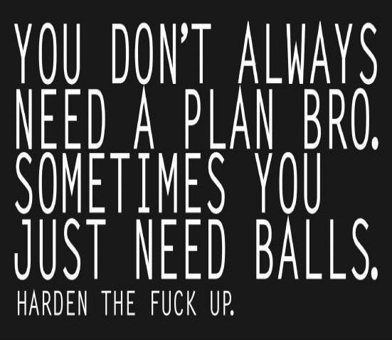 YOU DON'T ALWAYS NEED A PLAN BRO. SOMETIMES YOU JUST NEED BALLS. HARDEN THE FUCK UP.