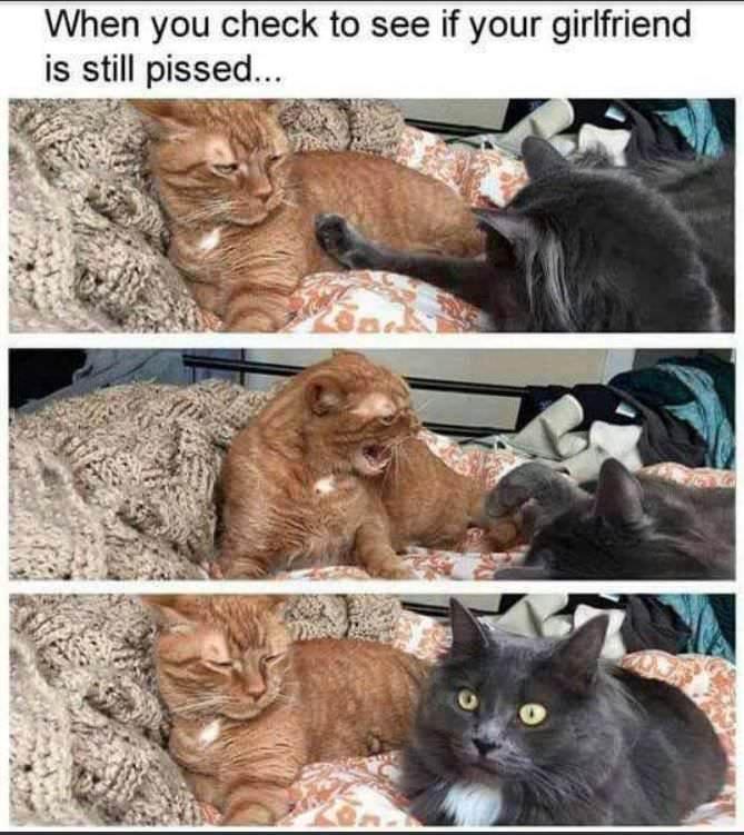 When you check to see if your girlfriend is still pissed