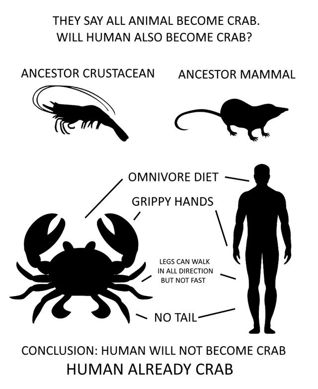 THEY SAY ALL ANIMAL BECOME CRAB WILL HUMAN ALSO BECOME CRAB ANCESTOR CRUSTACEAN ANCESTOR MAMMAL o e OMNIVORE DIET GRIPPY HANDS 1 LEGS CAN WALK NOTAL IN ALL DIRECTION BUTNOT FAST CONCLUSION HUMAN WILL NOT BECOME CRAB HUMAN ALREADY CRAB