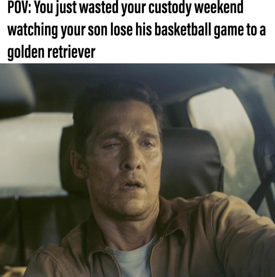POV You just wasted your custody weekend watching your son lose his basketball game to a golden retriever