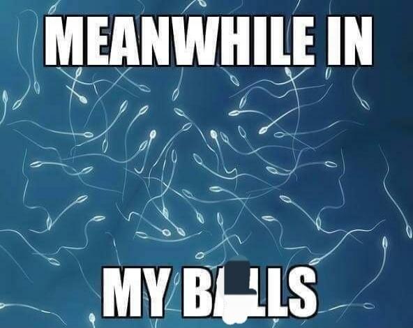 MEANWHILE IN MY BALLS