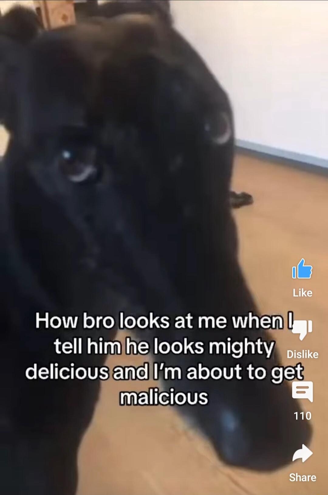 Like How bro looks at me whenlggj tell himlhe looks mighty S5 T VS ETnre g lEeTelV f o Xe 51 MELIEI 110
