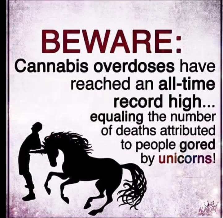 BEWARE: Cannabis overdoses have reached an all-time record high... equaling the number of deaths attributed to people gored by unicorns!