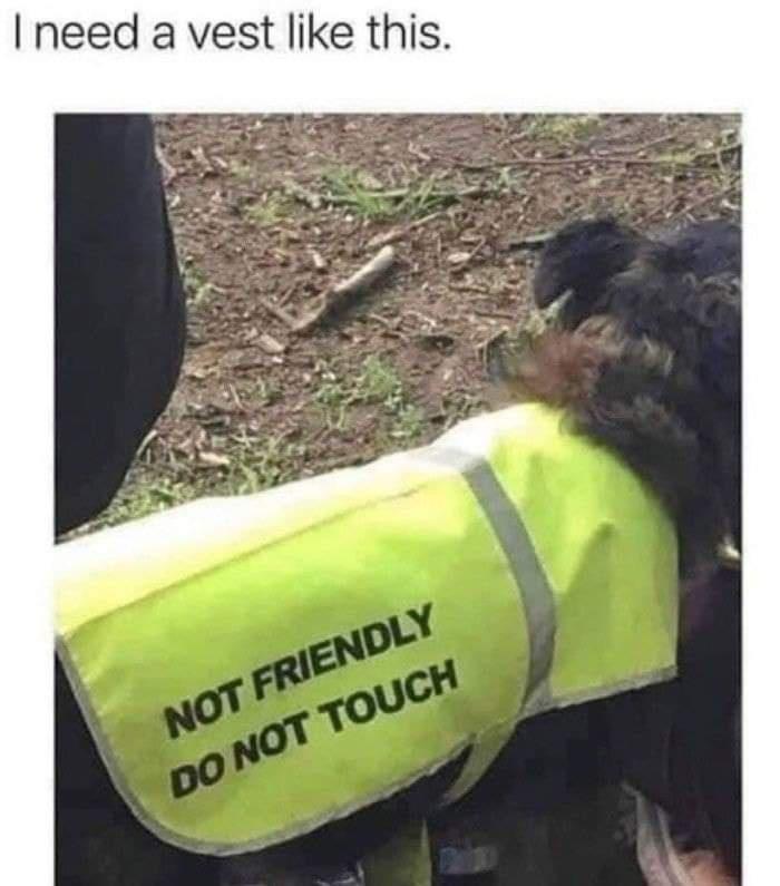 I need a vest like this