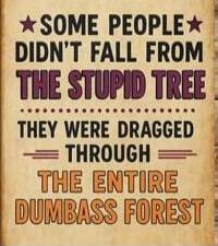 SOME PEOPLE DIDN'T FALL FROM THE STUPID TREE THEY WERE DRAGGED THROUGH THE ENTIRE DUMBASS FOREST