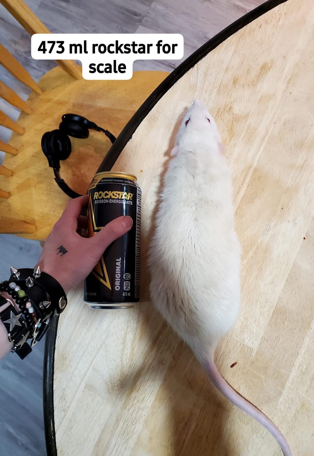 73 ml rockstar for scale 4 N g