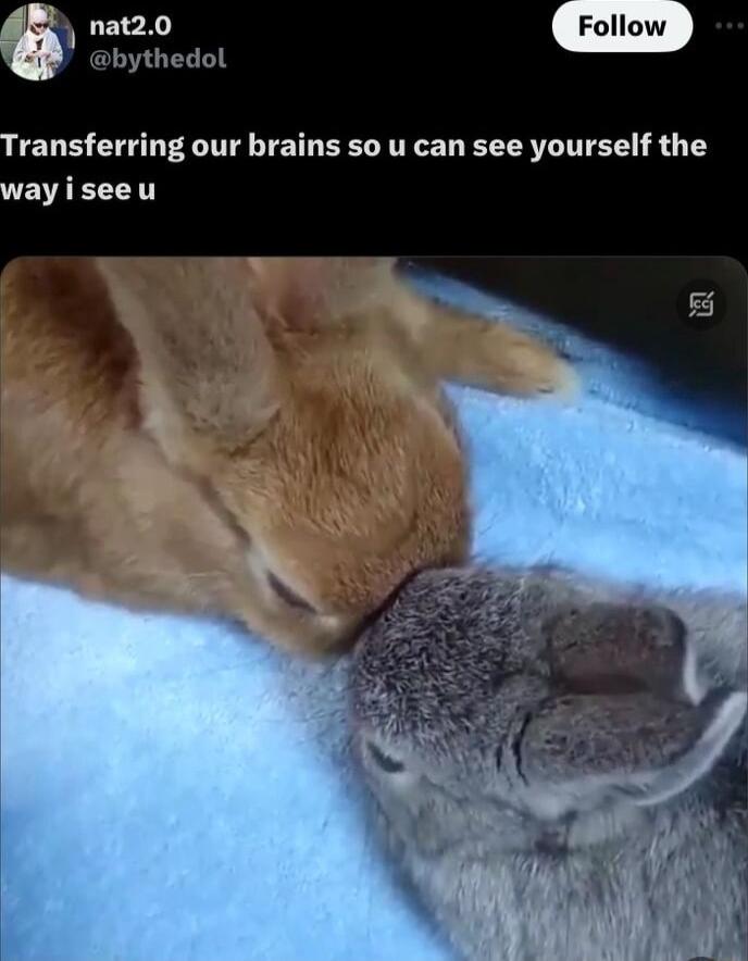 nat20 bythedol ransferring our brains so u can see yourself the