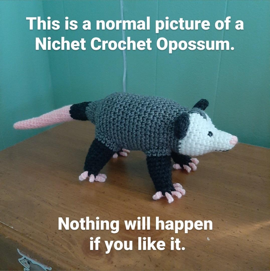 This is a normal picture of a Nichet Crochet Opossum o e LG ERTETLT ifyoulikeit