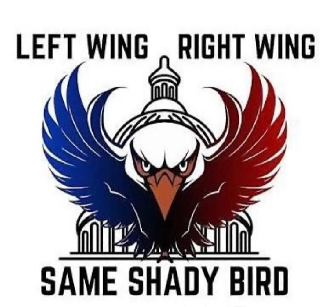 LEFT WING RIGHT WING SAME SHADY BIRD