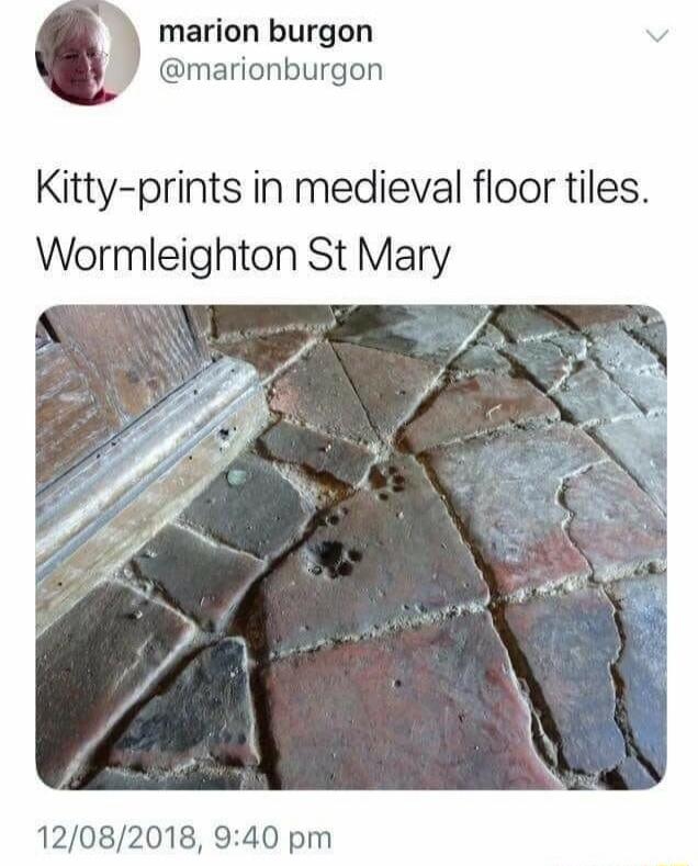 marion burgon Yy marionburgon Kitty prints in medieval floor tiles Wormleighton St Mary 12082018 940 pm