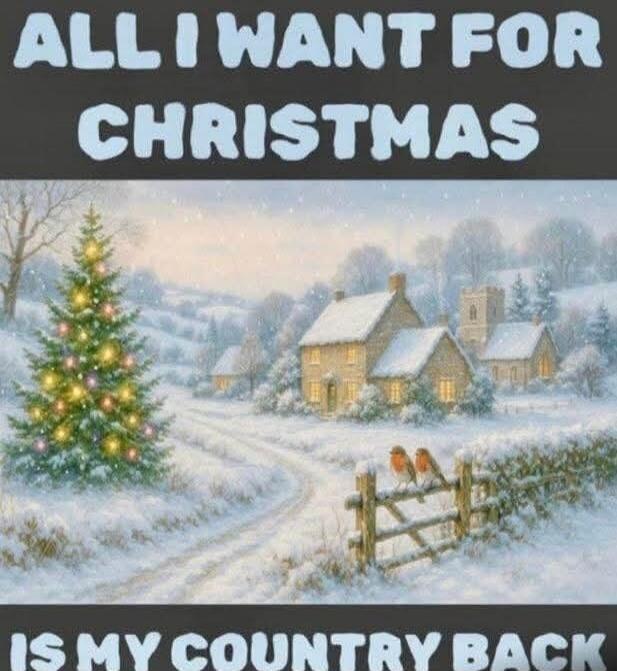 ALL I WANT FOR CHRISTMAS IS MY COUNTRY BACK