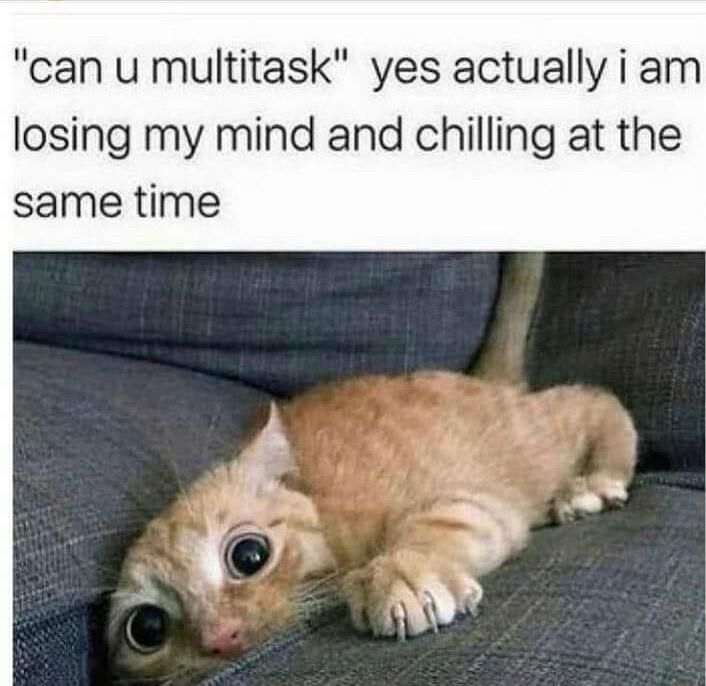 can u multitask yes actually i am losing my mind and chilling at the same time