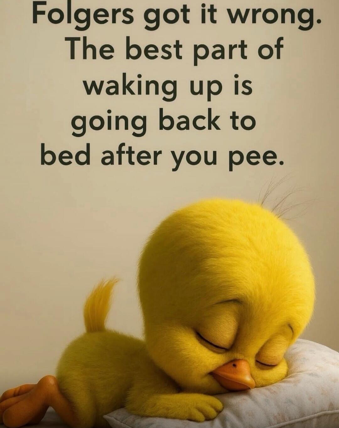 Folgers got it wrong. The best part of waking up is going back to bed after you pee.