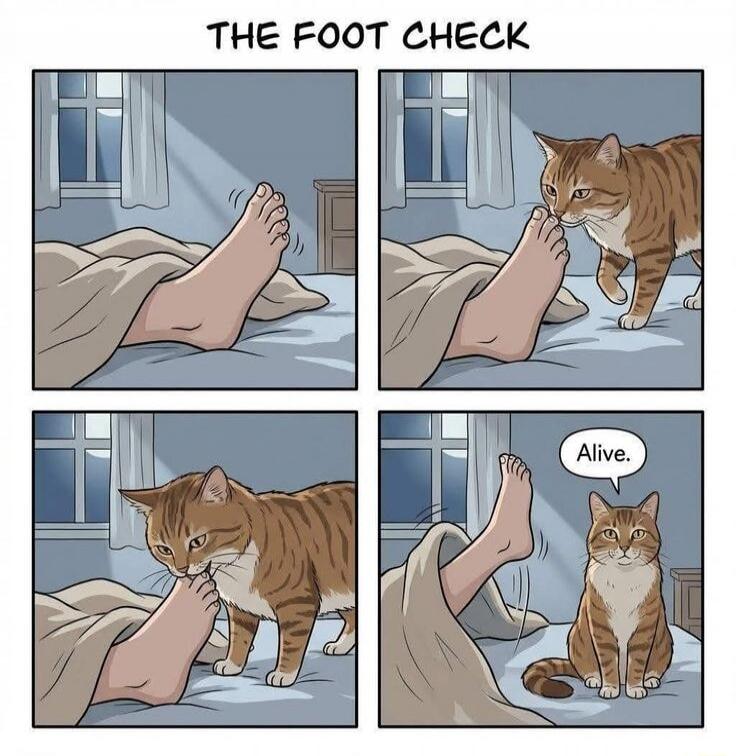 THE FOOT CHECK Alive.