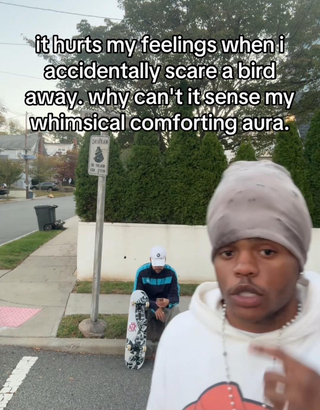 it hurts my feelings when i accidentally scare a bird away. why can't it sense my whimsical comforting aura.