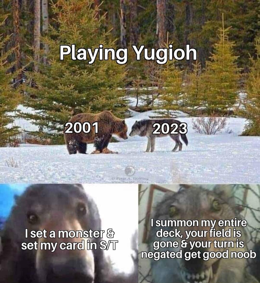Playing Yugioh Isummonmy ennre Isetamo deck yourfieldis Selimy cari T gone your turniis agegaled getgoodinoob