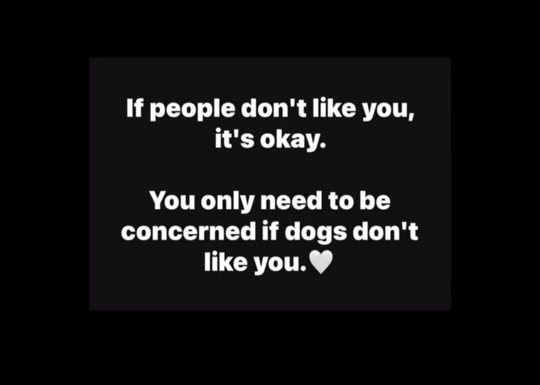 If people don't like you, it's okay. You only need to be concerned if dogs don't like you.❤️