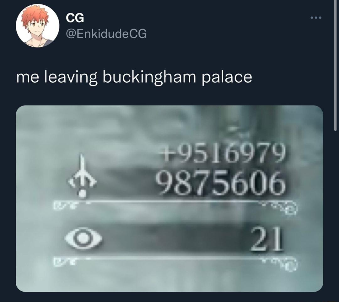cG EnkidudeCG me leaving buckingham palace 875606