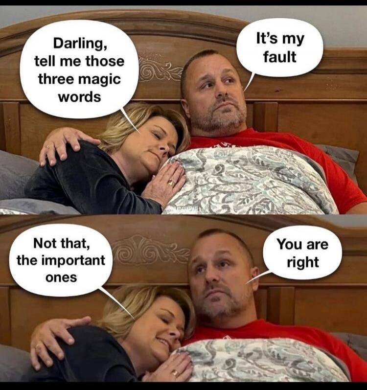 Darling, tell me those three magic words. It's my fault. Not that, the important ones. You are right.