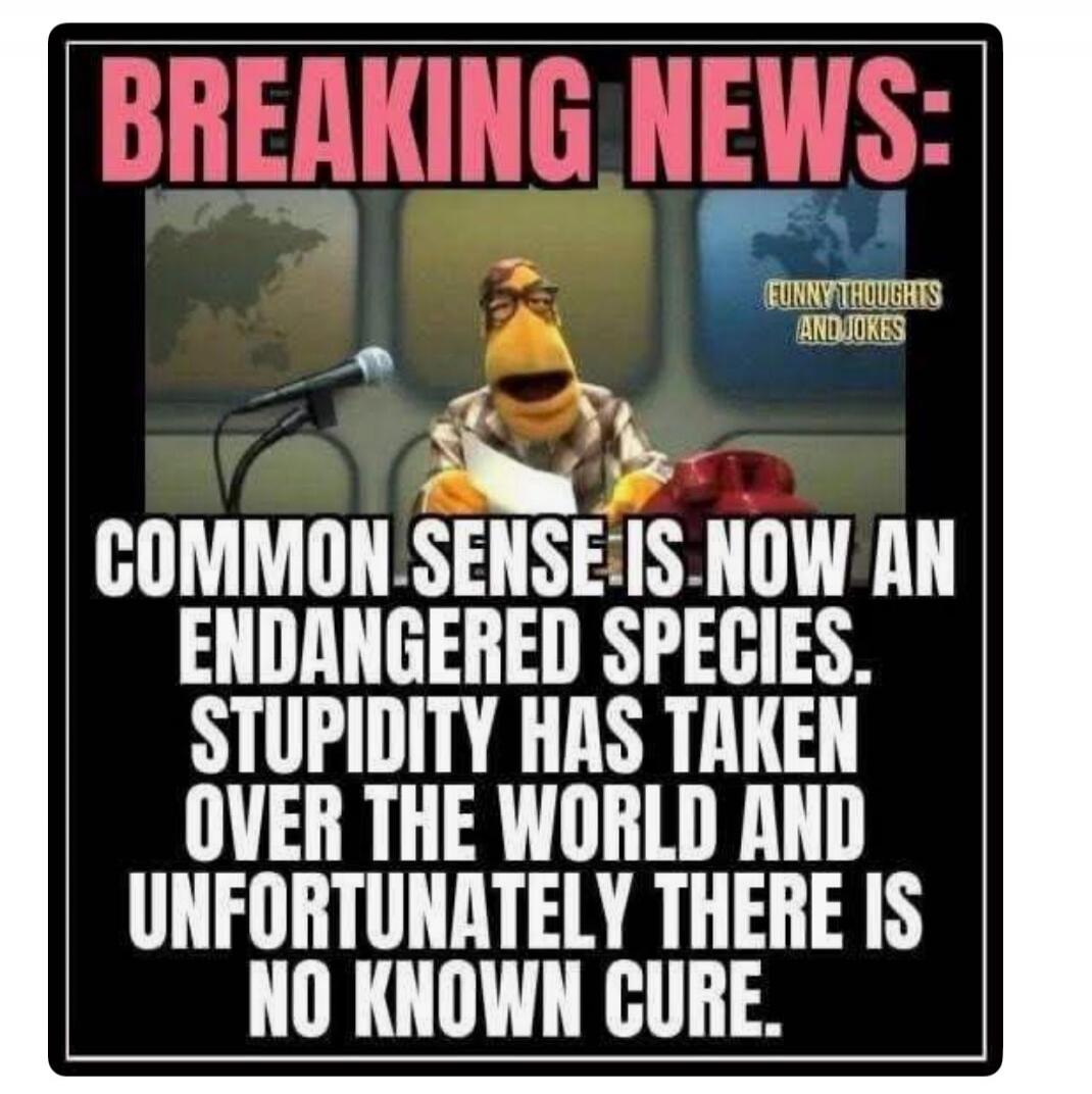 BREAKING NEWS: COMMON SENSE IS NOW AN ENDANGERED SPECIES. STUPIDITY HAS TAKEN OVER THE WORLD AND UNFORTUNATELY THERE IS NO KNOWN CURE. FUNNY THOUGHTS AND JOKES