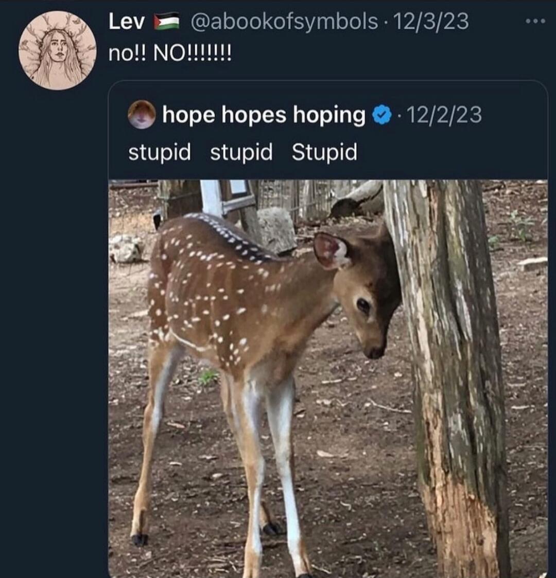 Lev abookofsymbols 12323 no NOUIN hope hopes hoping 12223 stupid stupid Stupid s