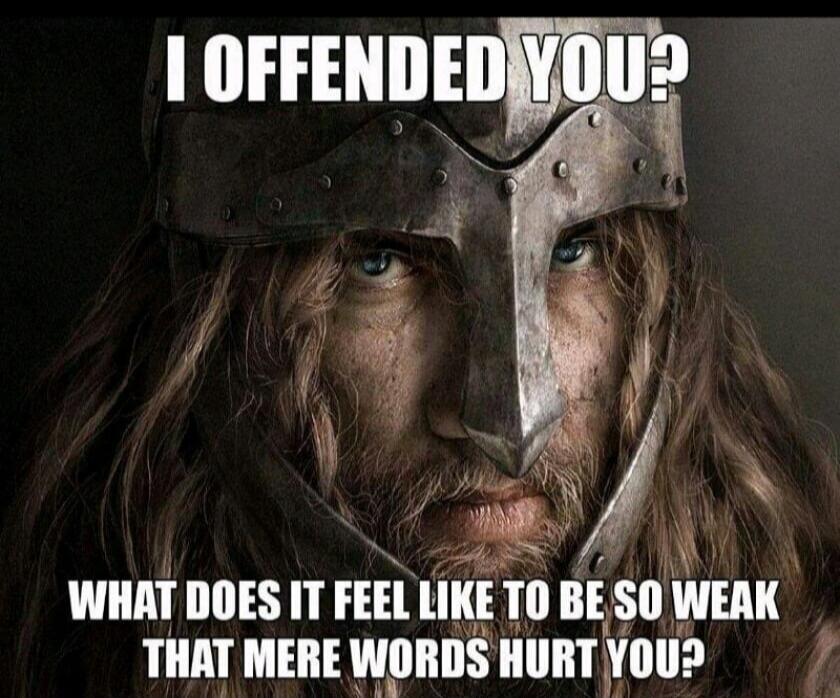 I OFFENDED YOU? WHAT DOES IT FEEL LIKE TO BE SO WEAK THAT MERE WORDS HURT YOU?