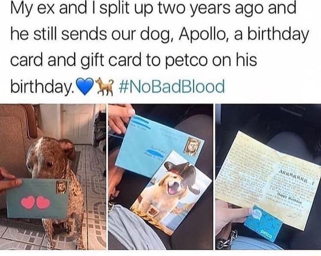 My ex and split up two years ago and he still sends our dog Apollo a birthday card and gift card to petco on his birthday NoBadBlood