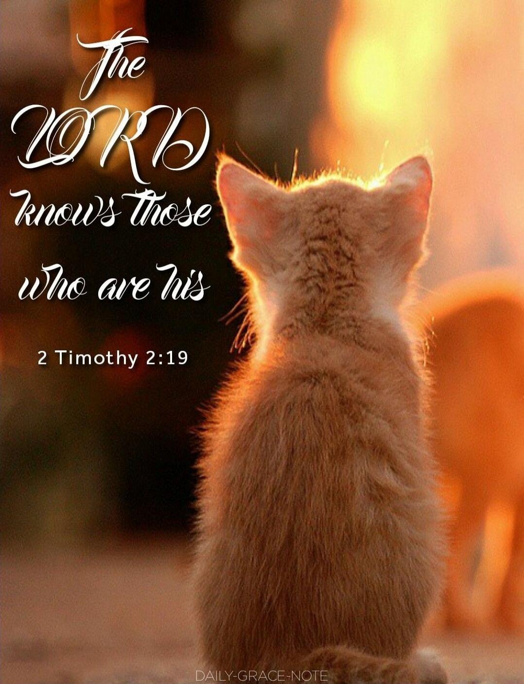 The LORD knows those who are His
2 Timothy 2:19