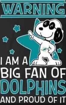 WARNING I AM A BIG FAN OF DOLPHINS AND PROUD OF IT